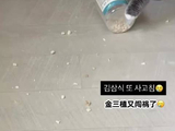 三植 真笨真笨！可劲造吧！