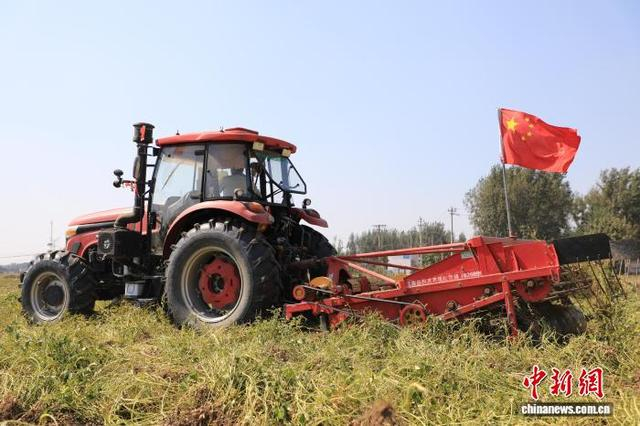 图为河南省延津县塔埔街道，刨花生机正在收获花生。邓小强 摄