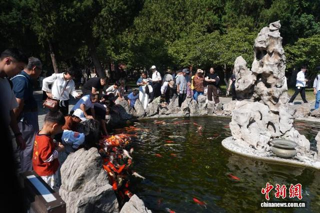10月6日，国庆假期，众多市民游客前来山东泰安市岱庙景区观光游览，感受历史古建筑魅力，欢度国庆佳节。中新社记者 赵隽 摄