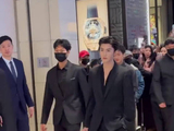 陈哲远：既然我尝到了，那你们也得闻一闻