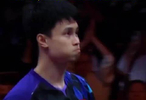 周启豪3比0横扫张本智和晋级8强！王皓王励勤秦志戬激动鼓掌