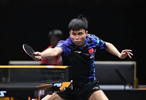 0-3爆冷出局！张本智和豪言夺冠被打脸，周启豪进8强，王励勤鼓掌