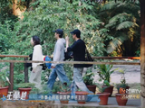 这俩人的相处模式太有意思了，一个疯狂许愿，一个耐心兜底，太有爱