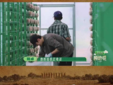 李耕耘受托监督卓沅吃饭，十个勤天摆放菌菇包