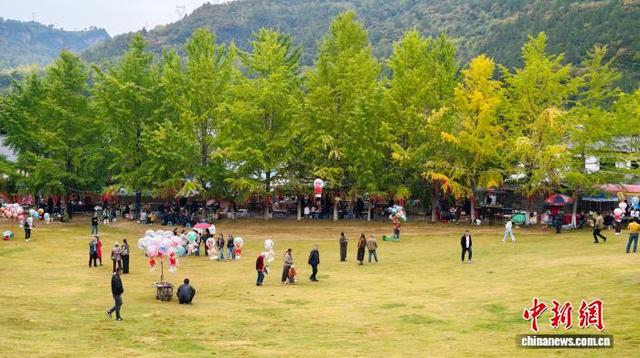 图为游客在田河村赏景游玩。高琼 摄