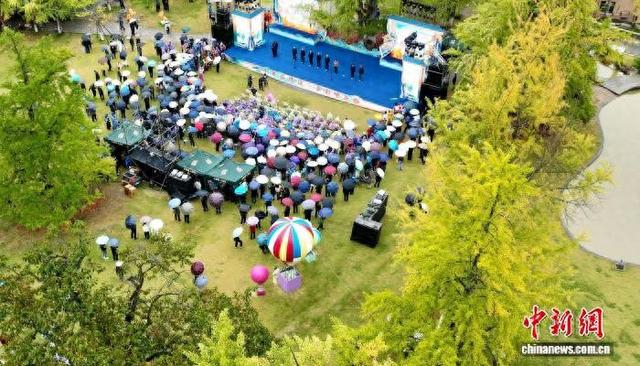 10月10日，2026年“千年嘉陵道·多彩峡谷群”银杏文化体验暨农文旅赋能促消费活动在甘肃陇南市徽县田河村启幕。何方 摄