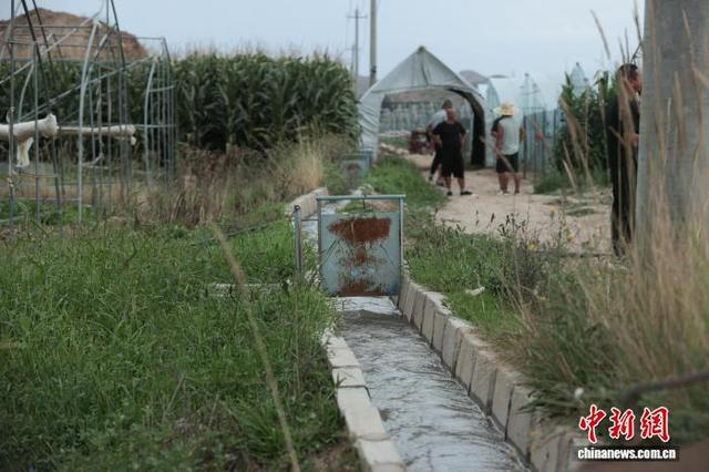 会宁县郭城驿镇红堡子村菜地旁的沟渠引入黄河水用于灌溉。 中新社记者 杨郁然 摄