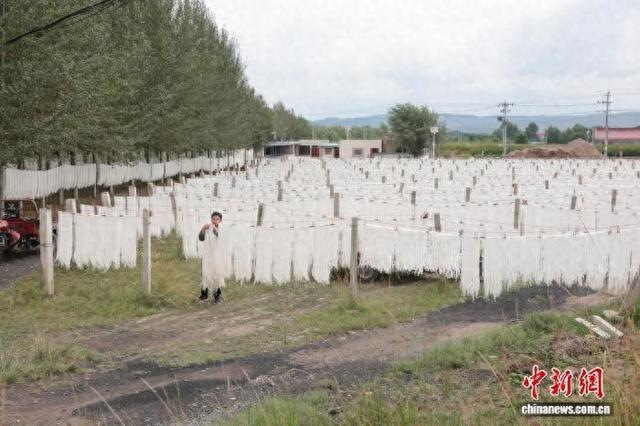 8月24日，宁夏西吉兴隆镇王河村，工作人员正在晾晒“红军粉”。 杨郁然 摄