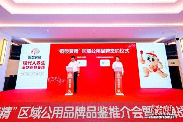 图为“铜鼓黄精”区域公用品牌品鉴推介会暨品牌战略发布会现场。铜鼓县委宣传部供图
