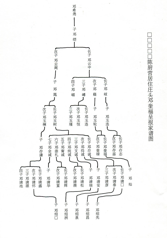 □□□□陈厨营居住庄头邓奎福呈报家谱（录文）
