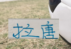 中超官方射手榜！拉唐距离榜首就差1球