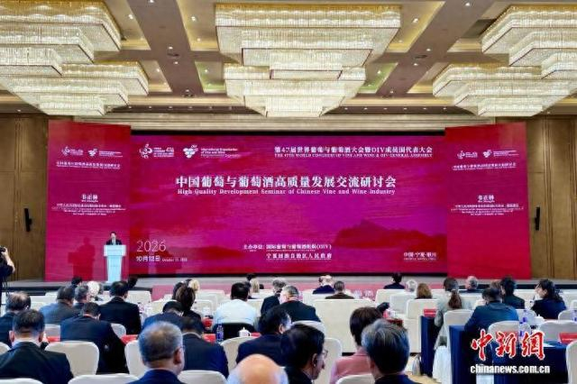 中国葡萄与葡萄酒高质量发展交流研讨会现场。 中新网记者 李佩珊 摄