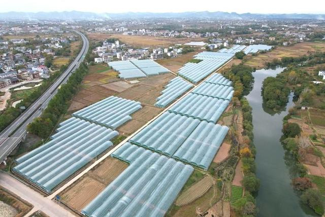 江西省瑞金市叶坪镇松坪村的大棚蔬菜产业。杨鑫 摄