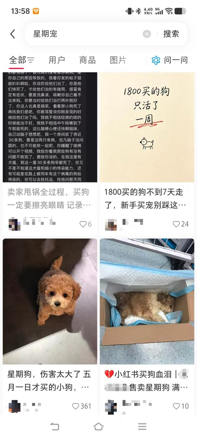 某社交平台上，一些消费者讲述遭遇“星期宠”的经历。社交平台截图