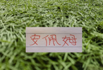 十场不败！ 海港安佩姆继续保持连续进球势头 年底能续约吗？
