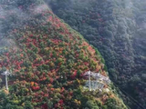 秋染秦岭如绚烂画卷