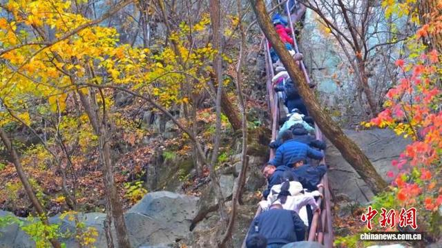 游客打卡茅兰沟国家森林公园。 嘉荫县委宣传部供图