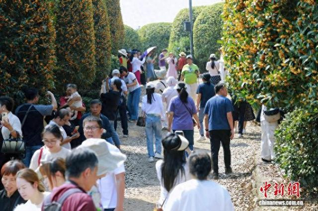 游客在桂博园里赏花。蒋才 摄