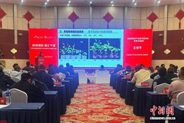 会议现场。 中新网记者 李佩珊 摄