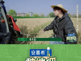 机器故障，@种地吧王一珩 开启手工收割模式