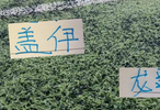 申花伤病名单就差1米95盖伊！