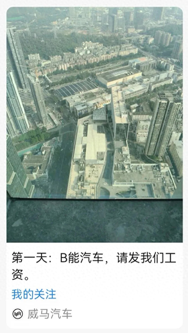 网传威马汽车公众号内容图源网络