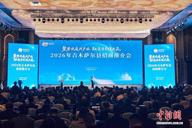 图为招商推介会现场。中新网记者 苟继鹏 摄