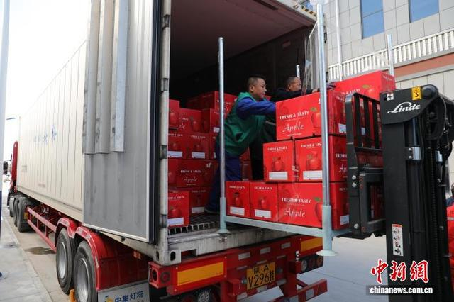 10月15日，陕西延安，员工在洛川的一处苹果产业园内进行苹果装车。中新社记者 张远 摄 