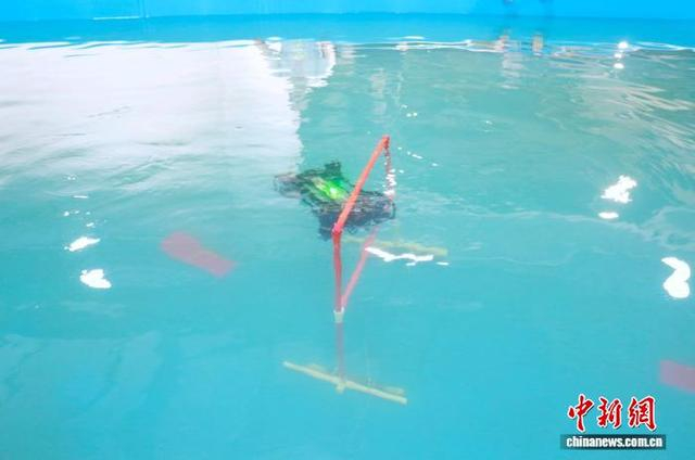 10月16日，水下机器人在水池赛道内自主巡航。中新社记者 郭其钰 摄