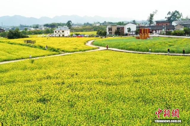 图为重庆市璧山区七塘镇七彩田园风光。梁钦卿 摄