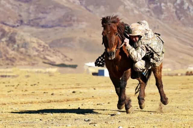 图为玉树独立骑兵连在进行训练。受访单位提供