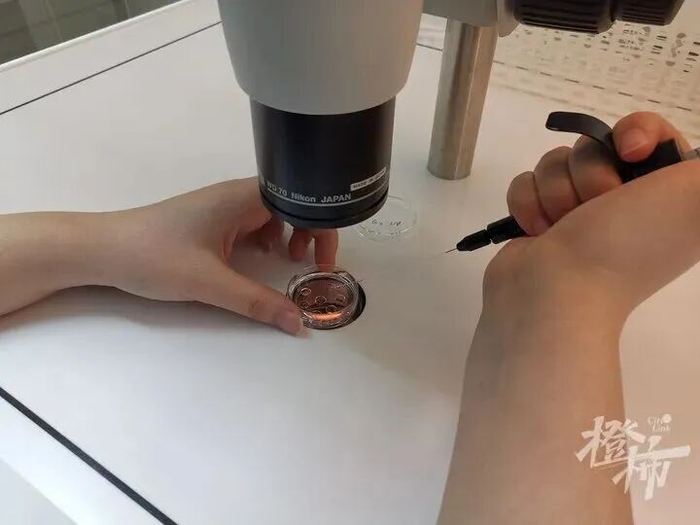 工作人员正在做卵子冷冻前的准备工作 医院供图