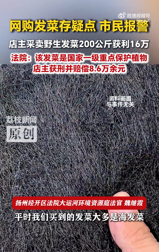 图片来源@荔枝新闻