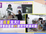撒贝宁小尼干活斗嘴不停