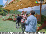 哈哈哈哈哈胡先煦你是真的很会治沈腾啊