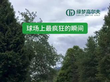 球场上最疯狂的瞬间 #高尔夫 #高尔夫球 #高尔夫挥杆 #golf