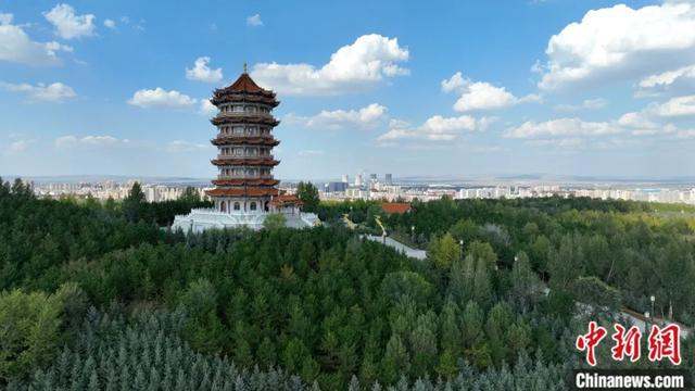 图为满眼绿色的集宁凤凰楼。 岳飞燕 摄