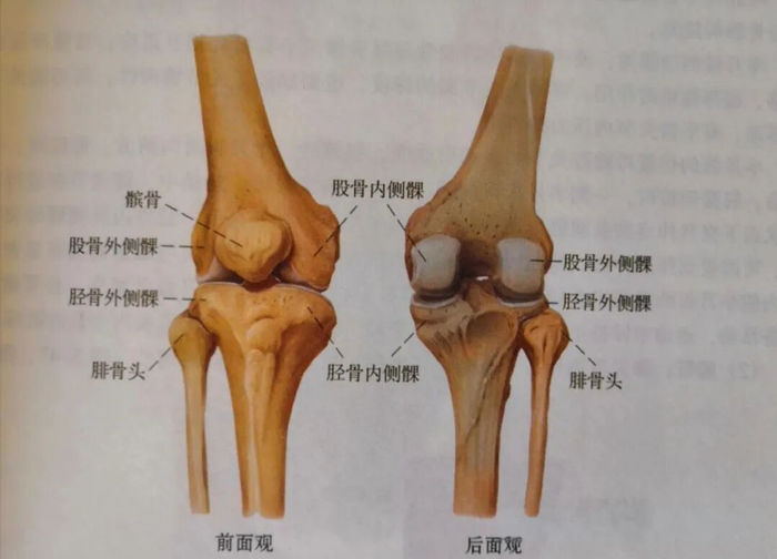 图片来源于网络