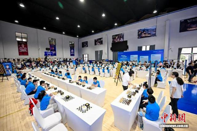 图为“五棋一牌”全民挑战赛现场。活动主办方供图