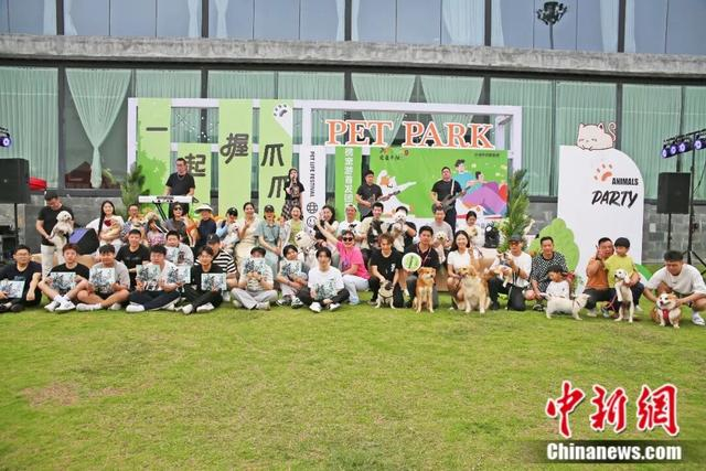 平阳举办宠物主题活动。平阳县委宣传部供图