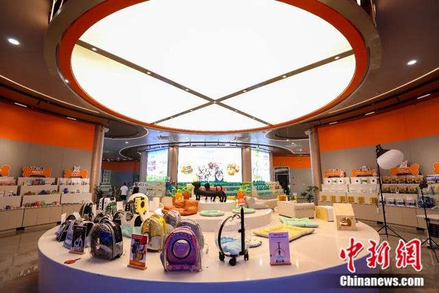 平阳生产的多种宠物用品。平阳县委宣传部供图