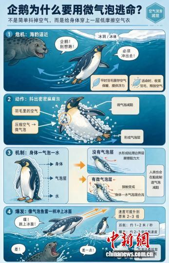示意图。中船集团上船院供图