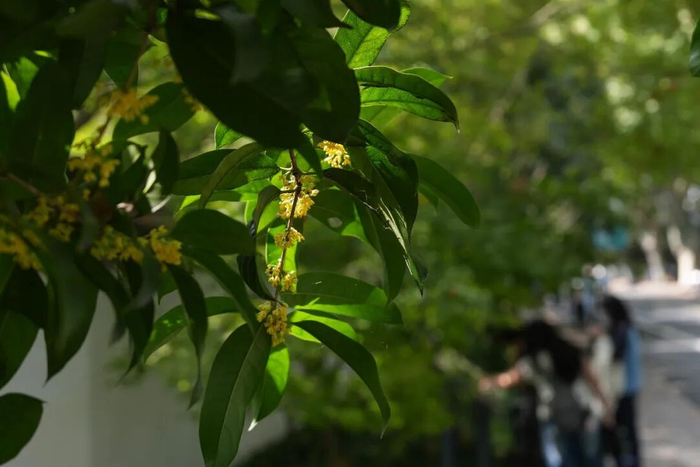 新华社记者 黄宗治 摄