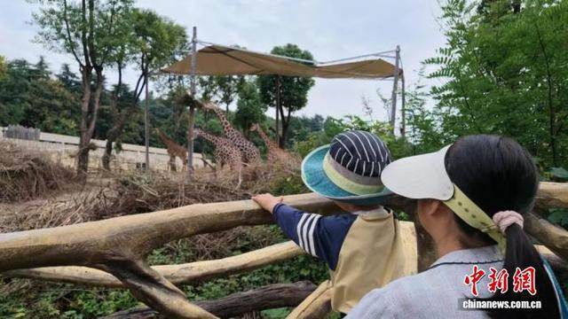 家长带着孩子在展区外安静观赏。张传明 摄