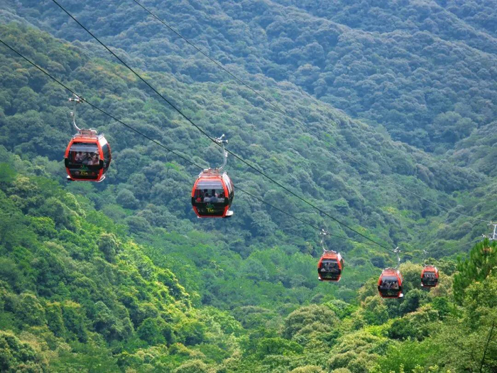 图源｜安远三百山景区