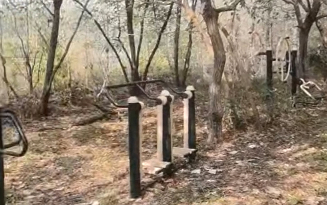 视频截图