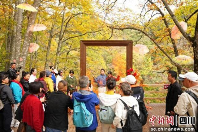 活动现场。光雾山景区 供图