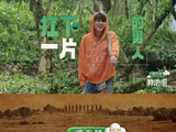 卓沅钉了个草字头