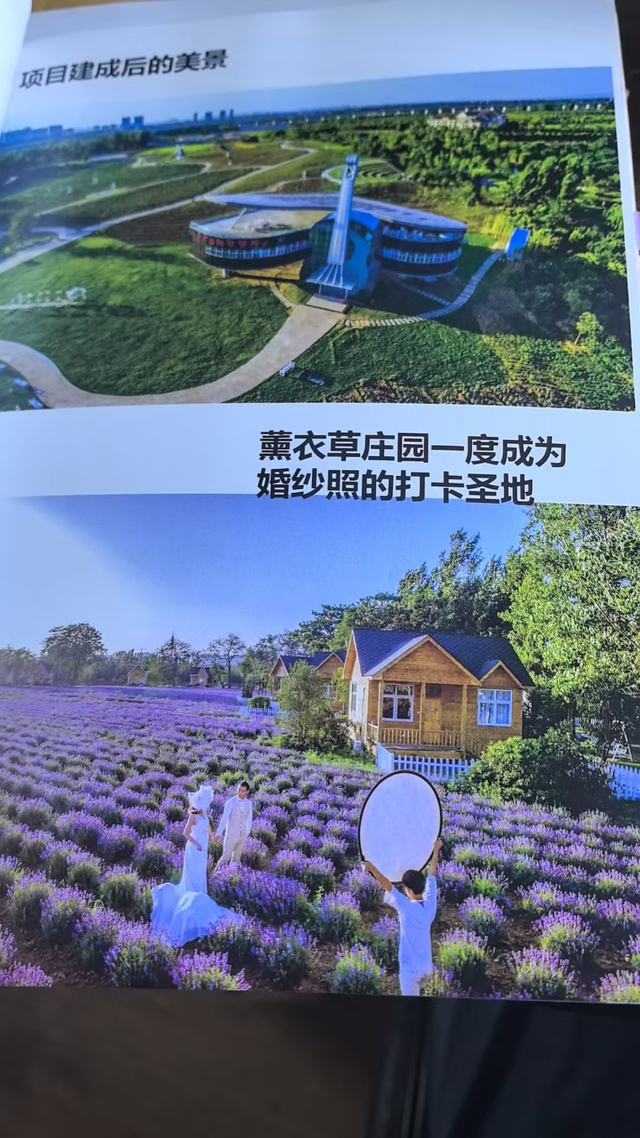 （景区里原来的打卡地 受访者供图）