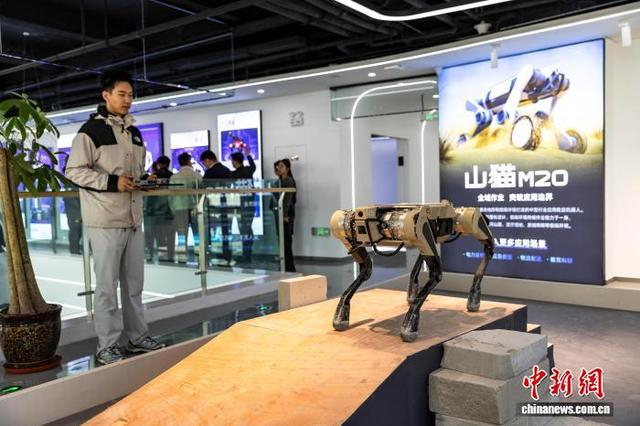图为四足机器狗“天狼”跨越障碍。金奇 摄